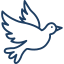 bird icon